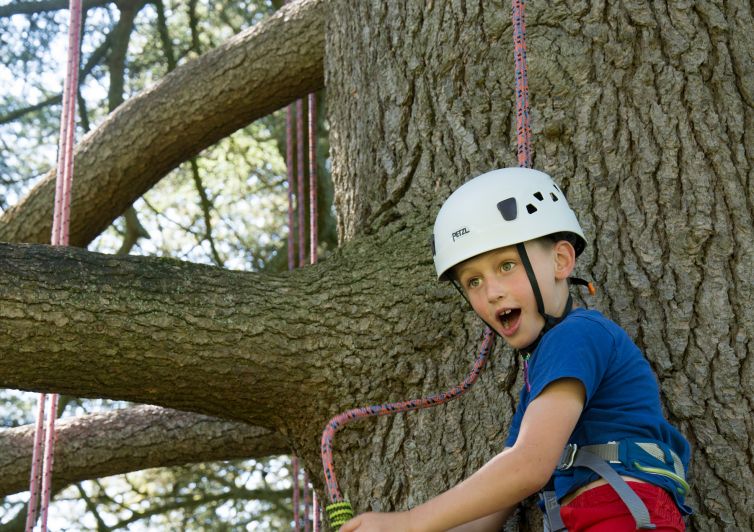 Exhilaration! Great achievements up in the canopies. The Great Big Tree Climbing Co.