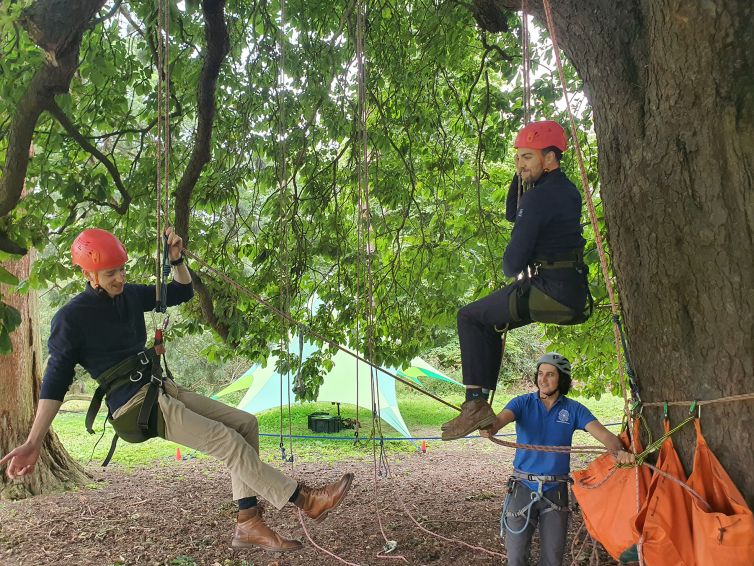 Some of our tree climbing instructors practising. The Great Big Tree Climbing Co.
