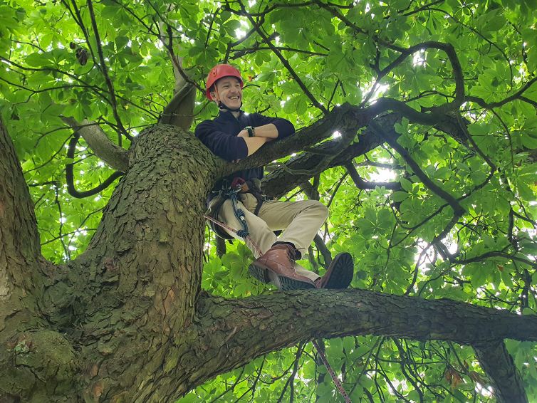 A moment's rest in the canopy! The Great Big Tree Climbing Co.