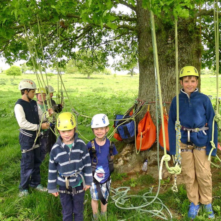 Ready, Set, Go! Great teamwork and fun climbing giant trees together