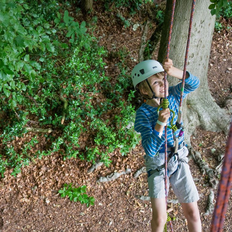 Go up! Safe climbing giant trees with The Great Big Tree Climbing co.