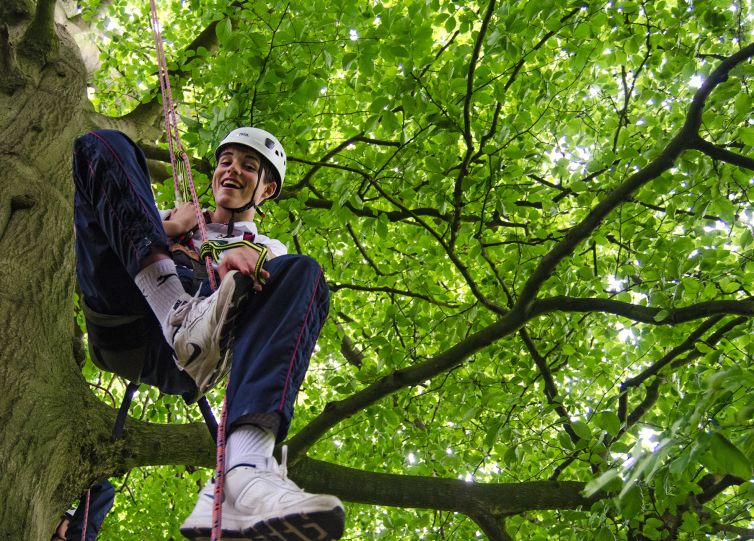 Laughing Teenager in giant Beech Tree. The Great Big Tree Climbing Co.