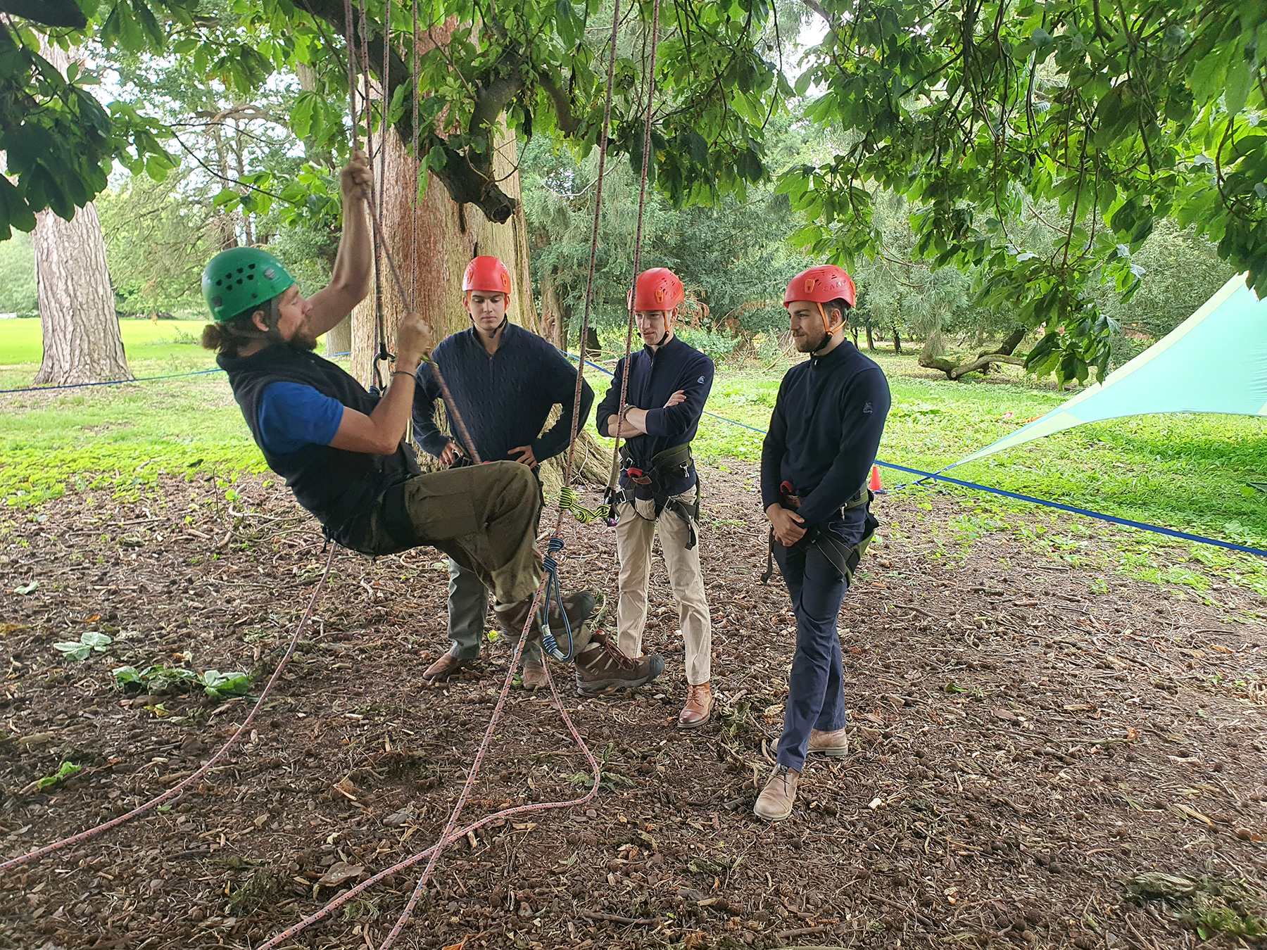 Instructor training at The Great Big Tree Climbing